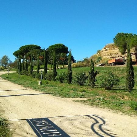 Vila Agriturismo Il Poderino Tarquinia Exteriér fotografie