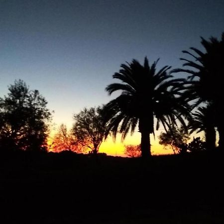 Vila Agriturismo Il Poderino Tarquinia Exteriér fotografie