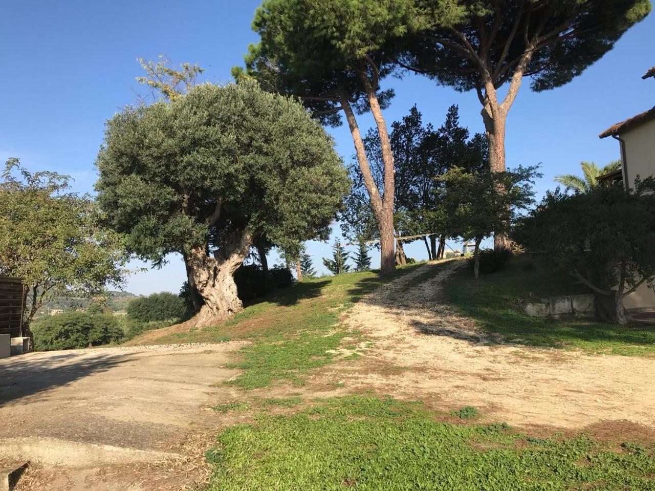 Vila Agriturismo Il Poderino Tarquinia Exteriér fotografie