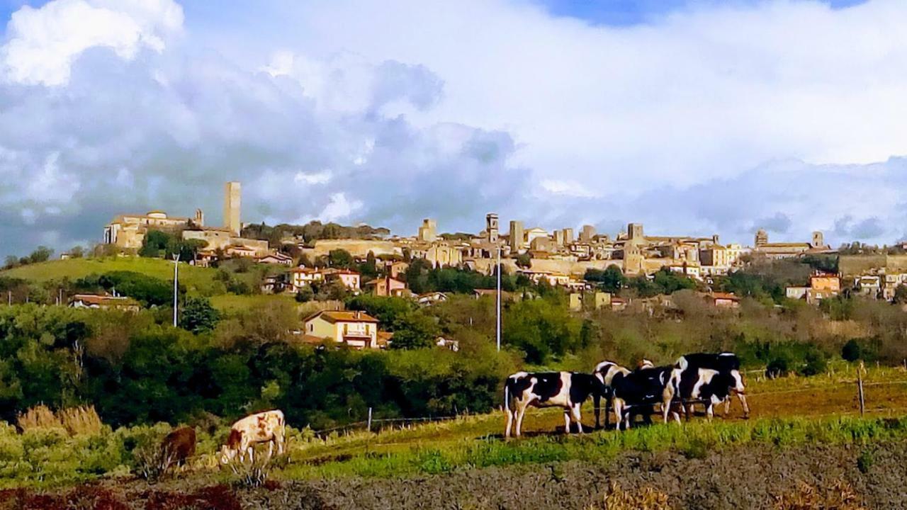 Vila Agriturismo Il Poderino Tarquinia Exteriér fotografie