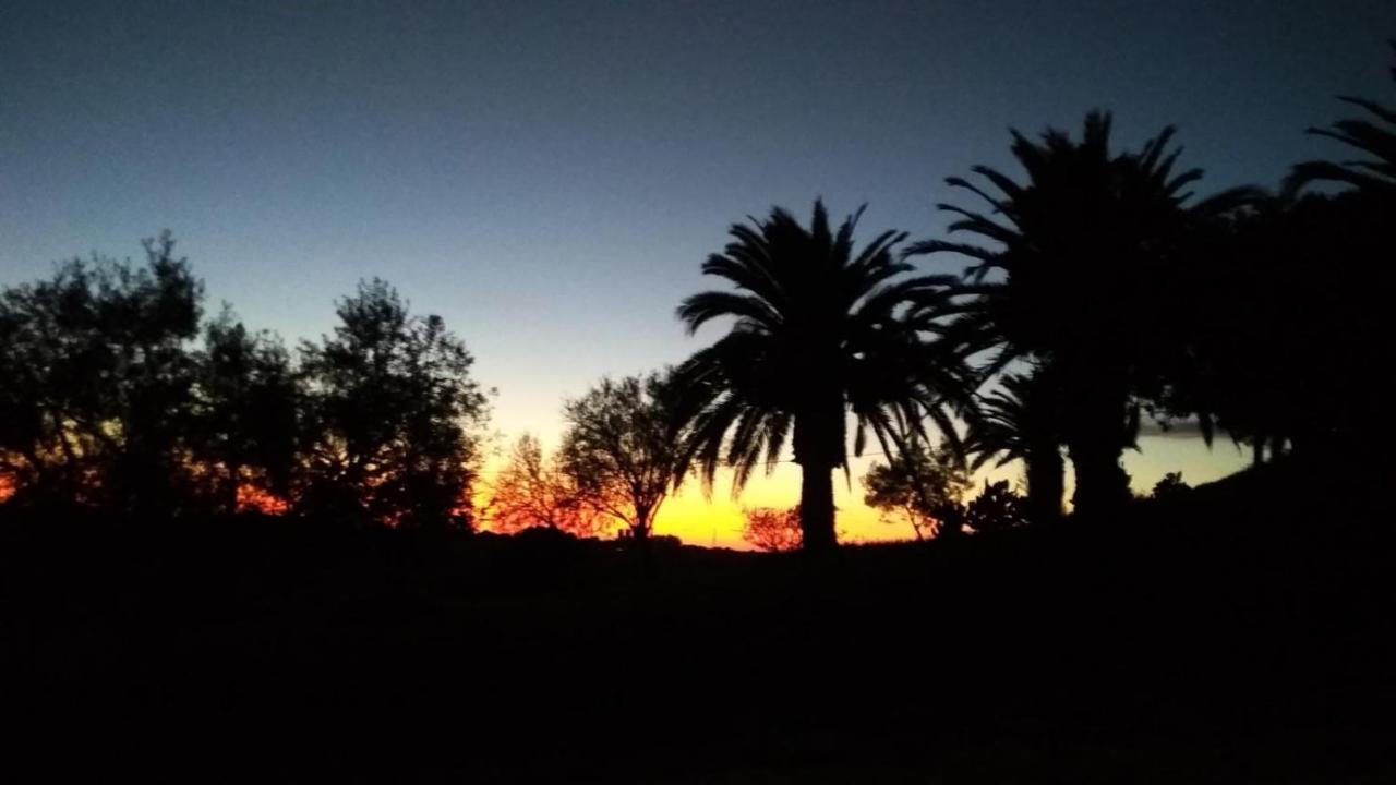 Vila Agriturismo Il Poderino Tarquinia Exteriér fotografie